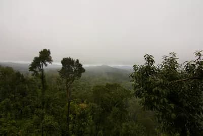 Coorg (Kodagu)