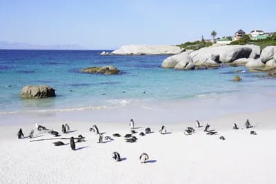 Boulders Beach