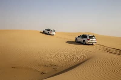 Desert Safari with Dune Bashing