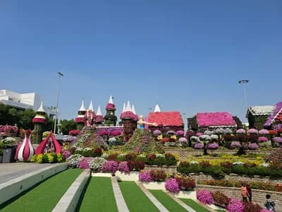 Dubai Miracle Garden