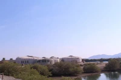 Khor Kalba Mangrove Reserve