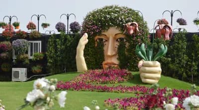 Dubai Miracle Garden (November–April)