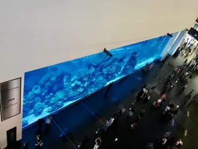 Dubai Aquarium & Underwater Zoo