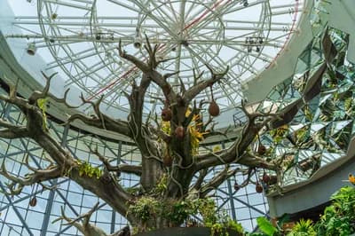 Green Planet Dubai (City Walk)