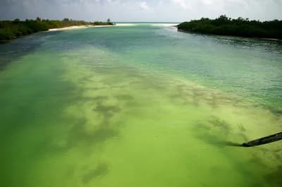 Sian Ka'an Biosphere Reserve