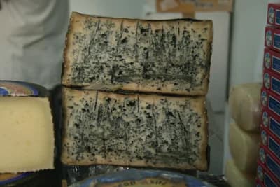Queso de Valdeón