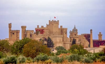 Castillo de Olite