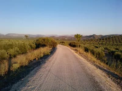 Vía Verde del Aceite, Jaén