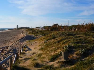 El Palmar, Cádiz