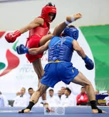 Sanda (Chinese Kickboxing)