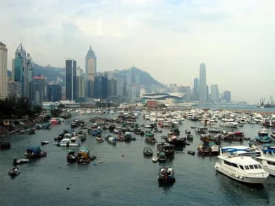 #10 Typhoon Shelter Crab — Top 10 Things to Eat in Hong Kong