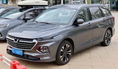 SAIC-GM-Wuling (Wuling)