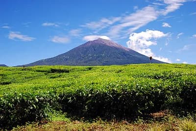 Kerinci Seblat National Park