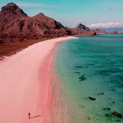 Pink Beach (Komodo)