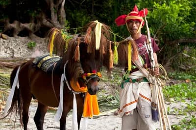 #2 Nihi Sumba — Top 10 Indonesian Luxury Resorts in 2026