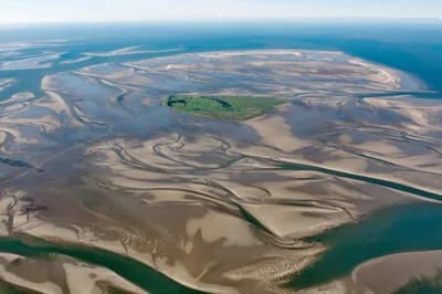 Wadden Sea
