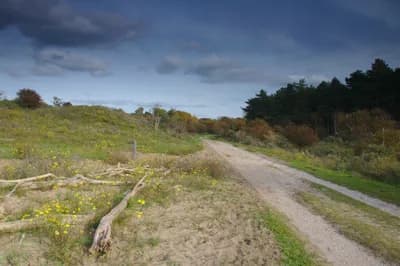 Zuid-Kennemerland National Park