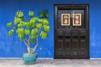 Cheong Fatt Tze Blue Mansion