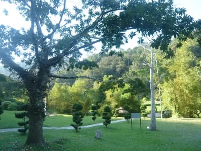 Penang Botanic Gardens