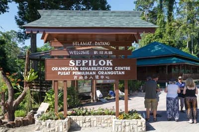 Sepilok Orangutan Rehabilitation Centre, Sabah