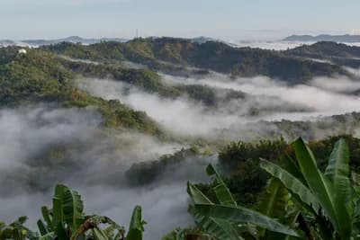 Crocker Range Biosphere Reserve, Sabah