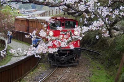 Alishan National Scenic Area