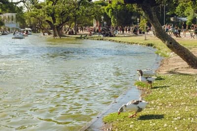 Stroll Through Bosques de Palermo