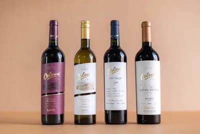 Bodega Colomé Torrontes