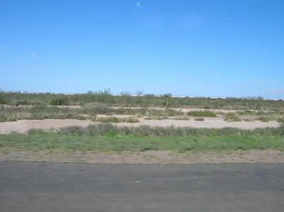 Salinas Grandes