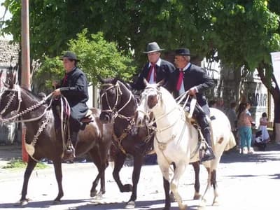 Dia de la Tradicion