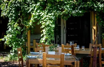 Dine at a Vineyard Restaurant
