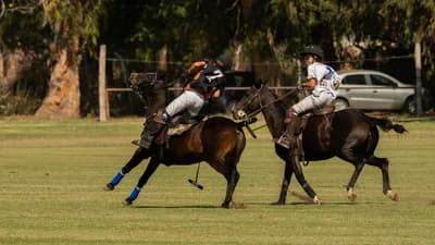 Polo & Estancia Culture