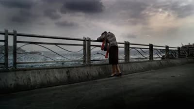 Three Monkeys (2008)