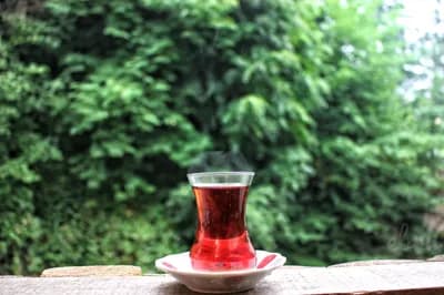 Cay Bahcesi (Tea Garden)