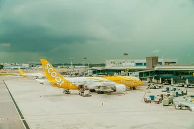 Scoot (Singapore Airlines' LCC)