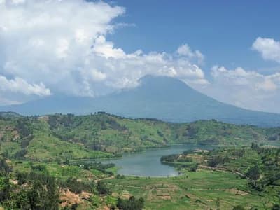 Volcanoes National Park, Rwanda