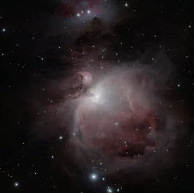Comparing the M_gas-N_yso Relation inside a Giant Molecular Cloud