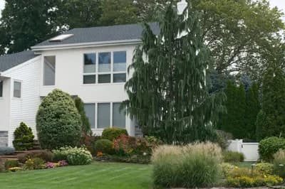 Landscaping & Curb Appeal