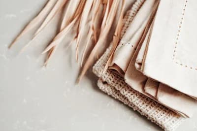 Cloth Napkins