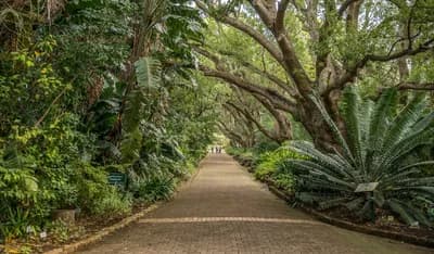 Botanical Garden Walk