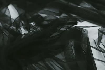 Sheer and Mesh Fabrics