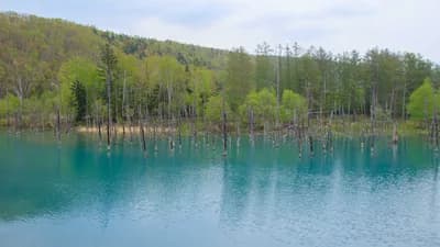 Hokkaido, Japan (Spring)