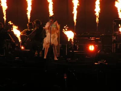 Fuji Rock Festival (Japan)