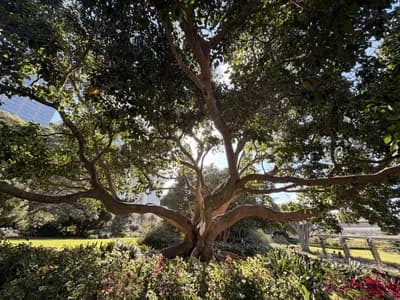 Royal Botanic Garden Sydney