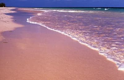 Pink Sand Beach, Harbour Island, Bahamas