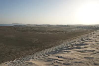 Qatar Desert Safari