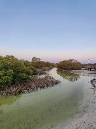 Mangrove National Park