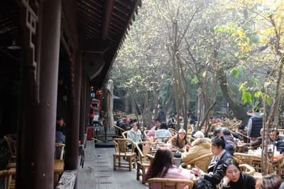 Tea Houses of People`s Park