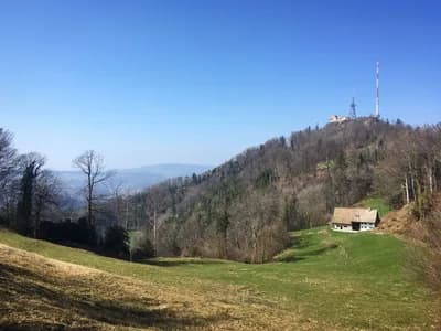 Uetliberg Mountain