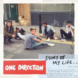 Story of My Life (2013)